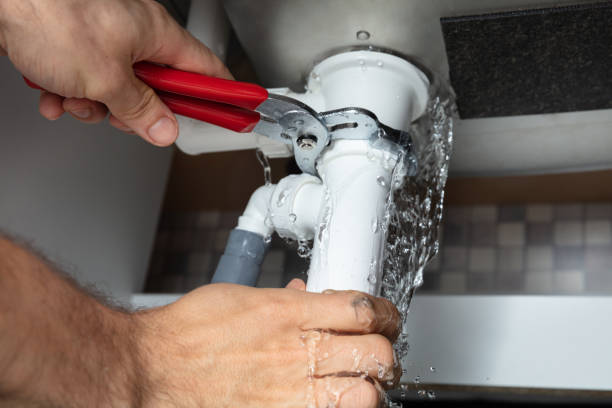 Best Commercial water damage restoration  in Bushnell, FL