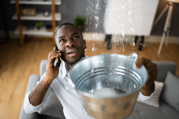 Best Water damage restoration experts  in Bushnell, FL