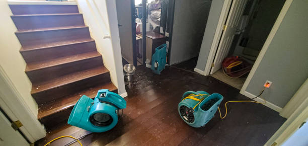 Best Local water damage restoration  in Bushnell, FL