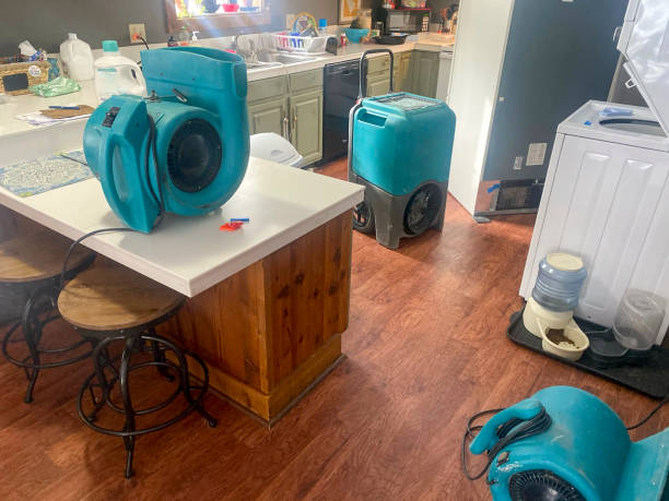 Best Sewage cleanup and water damage restoration  in Bushnell, FL