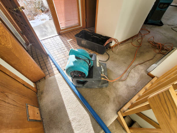 Best Water damage contractors near me  in Bushnell, FL