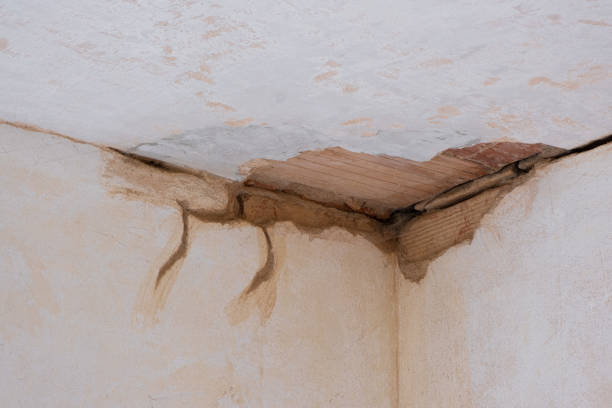  Bushnell, FL Water damage restoration Pros