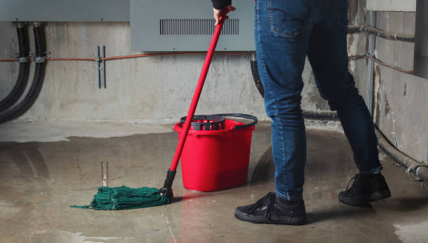 Best 24-hour water damage restoration  in Bushnell, FL