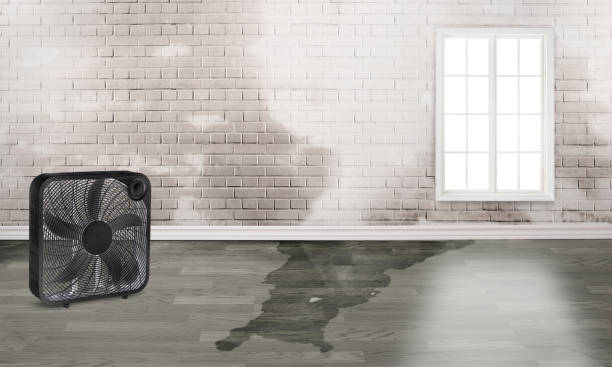 Water damage restoration experts in Bushnell, FL