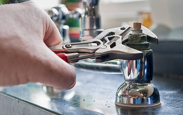 Best Flooded house restoration  in Bushnell, FL