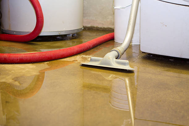 Best Water damage restoration process  in Bushnell, FL